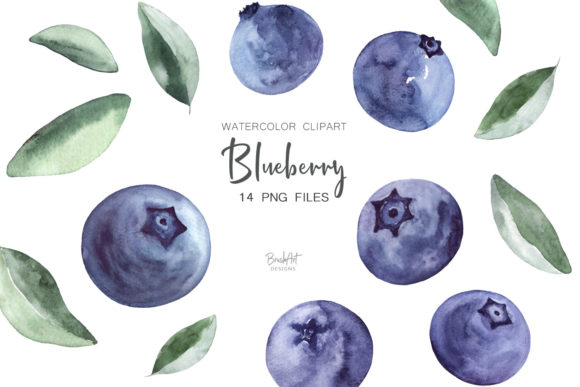 Download Blueberries Watercolor Clipart - Blue Collection