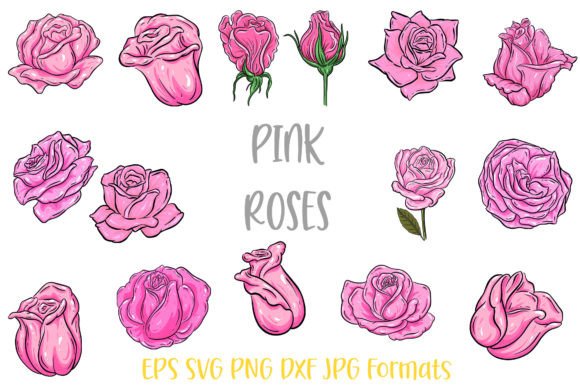 Download Pink Rose Flower Line Art Illustrations - Line art illustrations Collection