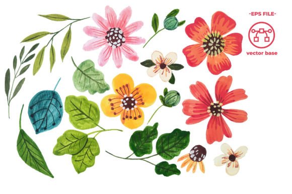 Download Watercolor Flower Elements - Element Collection