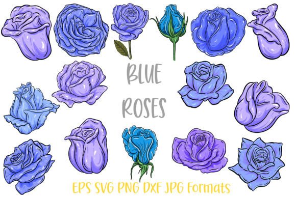 Download Blue Rose Flower Line Art Illustrations - Blue Collection